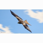 2 20210601 RM 1 DSC05201 (1) Desktop.jpg